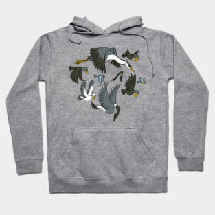 Illustrated Flock of Birds Hoodie